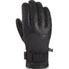 DAKINE MAVERICK GORE-TEX GLOVE BLACK 23 -WINT Snow Winkel 9 74230 maverick gore tex glove black 10003160 blk 01